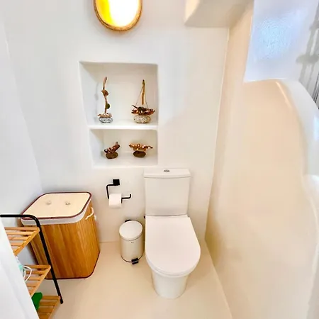 Aphrodite Next To The Windmills Of Mykonos Feriehus *