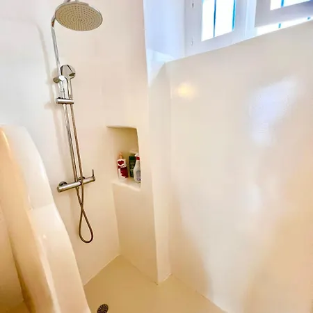 Aphrodite Next To The Windmills Of Mykonos Mykonos Town