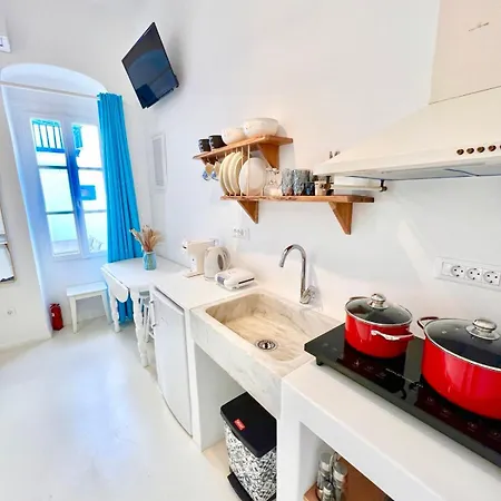 Aphrodite Next To The Windmills Of Mykonos Feriehus *