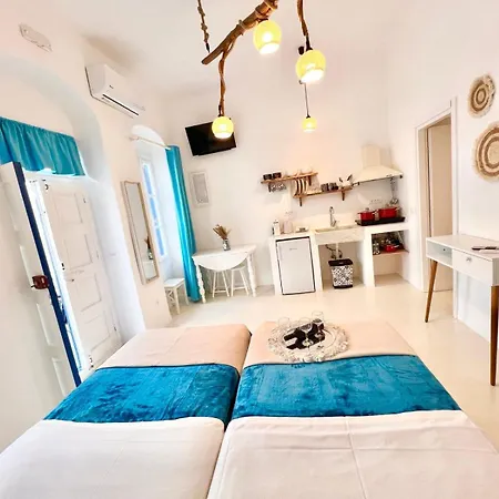 Aphrodite Next To The Windmills Of Mykonos Feriehus *